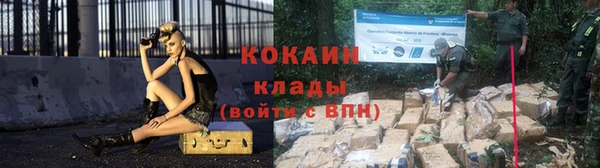 сатива Новодвинск