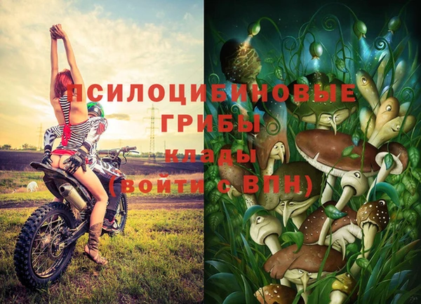 хмурый Новокубанск