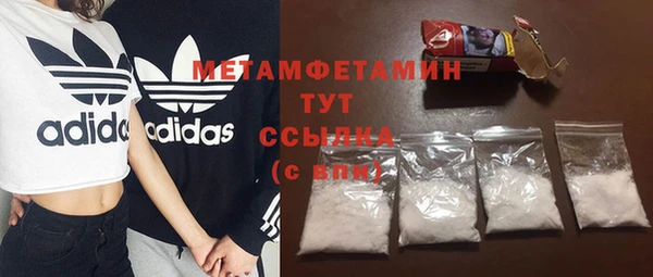 сатива Новодвинск