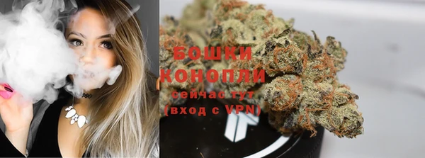 молекула духа Новозыбков
