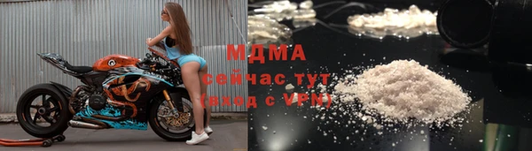 молекула духа Новозыбков