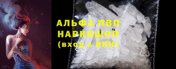 молекула духа Новозыбков