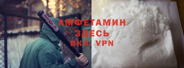 сатива Новодвинск