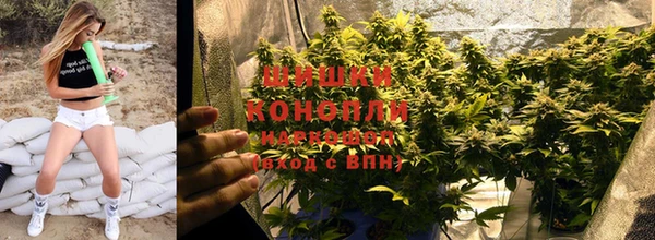 альфа пвп Анива