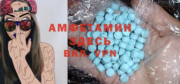 сатива Новодвинск