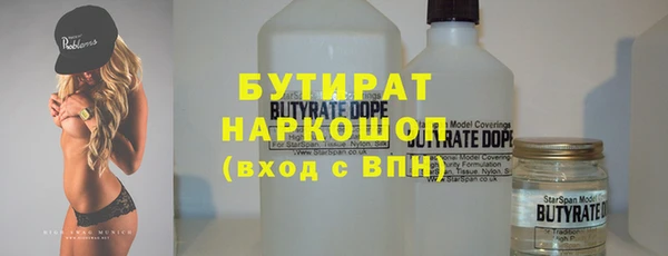 молекула духа Новозыбков