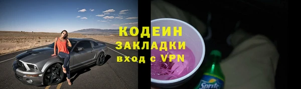 молекула духа Новозыбков
