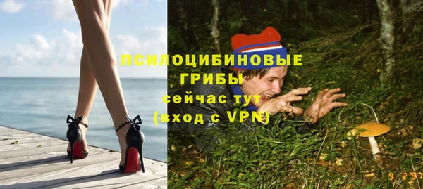молекула духа Новозыбков
