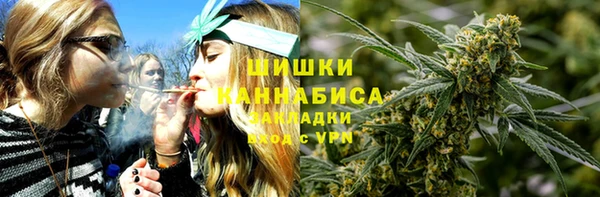 молекула духа Новозыбков