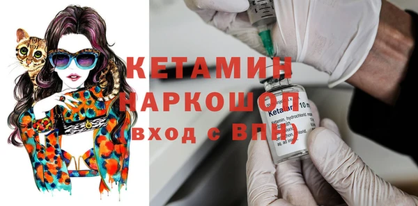 сатива Новодвинск