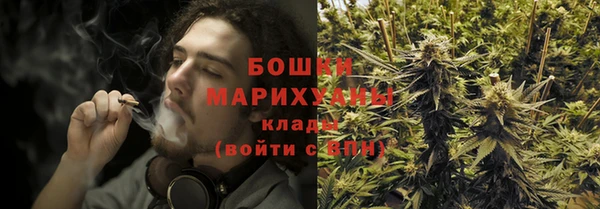 крисы Апатиты
