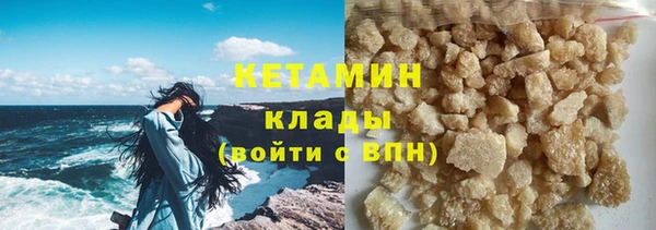 сатива Новодвинск